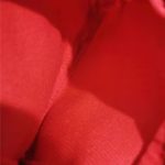 BAG-2067